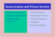 Incarceration and Prison Society History and Goals Prison Organization Correctional Officers Prison Society Women in Prison Prison Programs Violence Prisoner
