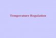 Temperature Regulation. Definitions Core Temperature –Measured as oral, aural, or rectal temperature –Temperature of deep tissues of the body –Remains
