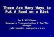 1 There Are Many Ways to Put A Road on a Diet Jack Witthaus Sunnyvale Transportation & Traffic Manager jwitthaus@ci.sunnyvale.ca.us