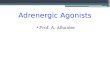 Adrenergic Agonists Prof. A. Alhaider. Tyrosine Dopa DA NE Na COMT NET Ca Norepinephrine (NE) SYNTHESIS STORAGE RELEASE ACTION REUPTAKE DEGRADE POSTGANGLIONIC