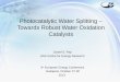 Photocatalytic Water Splitting – Towards Robust Water Oxidation Catalysts József S. Pap HAS Centre for Energy Research 3 rd European Energy Conference