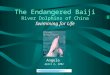 The Endangered Baiji River Dolphins of China Swimming for Life Angela April 2, 2002