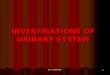 INVESTIGATIONS OF URINARY SYSTEM DR. S Chakradhar 1