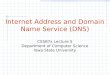 Internet Address and Domain Name Service (DNS) CS587x Lecture 5 Department of Computer Science Iowa State University