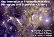 Star formation at intermediate scales: HII regions and Super-Star Clusters M. Sauvage, A. Contursi, L. Vanzi, S. Plante, T. X. Thuan, S. Madden