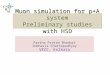 Muon simulation for p+A system Preliminary studies with HSD Partha Pratim Bhaduri Subhasis Chattopadhyay VECC, Kolkata