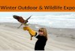 Winter Outdoor & Wildlife Expo. Whoooooooo Am I?