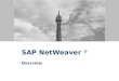 SAP NetWeaver Overview SAP NetWeaver ® Overview. SAP NetWeaver ® IT Practices and IT Scenarios Enterprise Service Architecture Overview Key Components