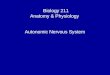 Biology 211 Anatomy & Physiology I Autonomic Nervous System
