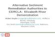 Alternative Sediment Remediation Authorities to CERCLA: Elizabeth River Demonstration Robert Engler (rengler@moffattnichol.com) Moffatt & Nichol), Vicksburg,rengler@moffattnichol.com)