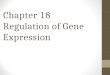 Chapter 18 Regulation of Gene Expression. Prokaryotes and eukaryotes alter gene expression in response to their changing environment. In multicellular