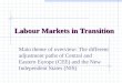 Labour Markets in Transition Main theme of overview: The different adjustment paths of Central and Eastern Europe (CEE) and the New Independent States