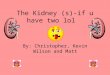 The Kidney (s)-if u have two lol By: Christopher, Kevin Wilson and Matt