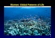 1 Biomes: Global Patterns of Life. 2 Outline Terrestrial Biomes Marine Ecosystems  Open Ocean  Shallow Coasts Freshwater Ecosystems  Lakes  Wetlands