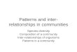 Patterns and inter- relationships in communities Species diversity Composition of a community Inter-relationships of organisms Patterns in a communtiy