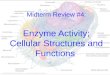 Midterm Review #4: Enzyme Activity; Cellular Structures and Functions White Blood Cells