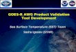 1 GOES-R AWG Product Validation Tool Development Sea Surface Temperature (SST) Team Sasha Ignatov (STAR)