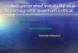 Self-generated instability of a ferromagnetic quantum-critical point Self-generated instability of a ferromagnetic quantum-critical point Andrey Chubukov