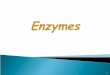 1. Proteins  Enzymes are specialized Proteins Catalysts  Act as Catalysts to accelerate a reaction  Not permanently  Not permanently changed in the