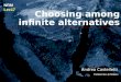Choosing among infinite alternatives NRMLec17 Andrea Castelletti Politecnico di Milano