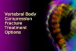 Vertebral Body Compression Fracture Treatment Options 16000040-02