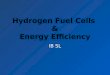 Hydrogen Fuel Cells & Energy Efficiency IB SL. Hydrogen Fuel Cell? Definition: Electrochemical cell that converts a source fuel into an electrical current