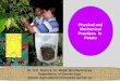 Physical and Mechanical Practices in Potato Dr. S.K. Dutta & Dr. Badal Bhattacharyya Department of Entomology Assam Agricultural University,Jorhat-13
