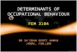 DETERMINANTS OF OCCUPATIONAL BEHAVIOUR FEM 3104 DR SA’ODAH BINTI AHMAD JPMPK, FEM,UPM