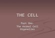 THE CELL Part One: The Animal Cell Organelles. What is a cell… A cell is defined as the basic unit of all organisms. All cells come from pre-existing