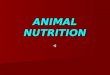 ANIMAL NUTRITION Diverse Feeding Adaptations Suspension Feeders – sift food particles from water. Suspension Feeders – sift food particles from