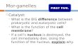 Mor-ganelles  Catalyst:  What is the BIG difference between prokaryotic and eukaryotic cells?  What is the function of the cell membrane?  If a cell’s
