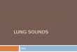 LUNG SOUNDS PPA Stethoscope Technology Electronic Bovine Lung Score Stethoscope Our digital stethoscope technology has been in development and used on