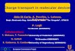 U Tor Vergata Charge transport in molecular devices Aldo Di Carlo, A. Pecchia, L. Latessa, M.Ghorghe* Dept. Electronic Eng. University of Rome “Tor Vergata”,