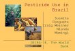 Pesticide Use in Brazil Susmita Dasgupta Craig Meisner Nlandu Mamingi DECRG-IE, The World Bank