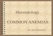 COMMON ANEMIAS Haematology Dr. Janis Bormanis Common anemias 4 Iron deficiency 4 Megaloblastic anemias 4 Secondary anemias to chronic diseases Anemia