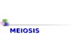 MEIOSIS. Meiosis Division of sex cells, called gametes Meiosissexual reproduction Meiosis is sexual reproduction