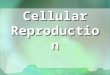 1 Cellular Reproduction. 2 Types of Cell Reproduction Asexual reproduction involves a single cell dividing to make 2 new, identical daughter cells Asexual