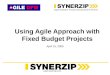 Www.synerzip.com Using Agile Approach with Fixed Budget Projects April 15, 2009