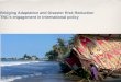 Bridging Adaptation and Disaster Risk Reduction TNC’s engagement in International policy IUCN – Marco Calvo
