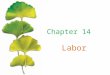 Labor. Chapter Outline ©2015 McGraw-Hill Education. All Rights Reserved. 2 The Perfectly Competitive Firm ’ s Short-Run Demand for Labor The Perfectly