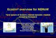 Ecosim* overview for NEMoW *and spawn of Ecosim: related dynamic models including Ecospace Sarah Gaichas and Kerim Aydin, AFSC Chris Harvey, NWFSC John