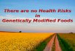 There are no Health Risks in Genetically Modified Foods