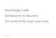 © Kip Smith, 2003 Psychology 110B Introduction to Neurons The stuff of the brain and mind