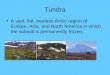 Tundra A vast, flat, treeless Arctic region of Europe, Asia, and North America in which the subsoil is permanently frozen