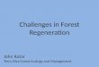 Challenges in Forest Regeneration John Kotar Terra Silva Forest Ecology and Management