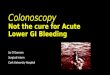 Colonoscopy Not the cure for Acute Lower GI Bleeding Liz O’Gorman Surgical Intern Cork University Hospital