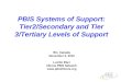 PBIS Systems of Support: Tier2/Secondary and Tier 3/Tertiary Levels of Support BC, Canada November 5, 2010 Lucille Eber Illinois PBIS Network 