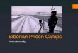 Siberian Prison Camps James Donnelly. Overview  Life in Siberia  Prison History  Prison Life