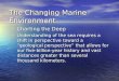 The Changing Marine Environment Charting the Deep Charting the Deep Understanding of the sea requires a shift in perspective toward a “geological perspective”
