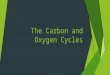 The Carbon and Oxygen Cycles. What is Carbon and how do we get it?  Carbon is one of the most common elements found in living organisms. Chains of